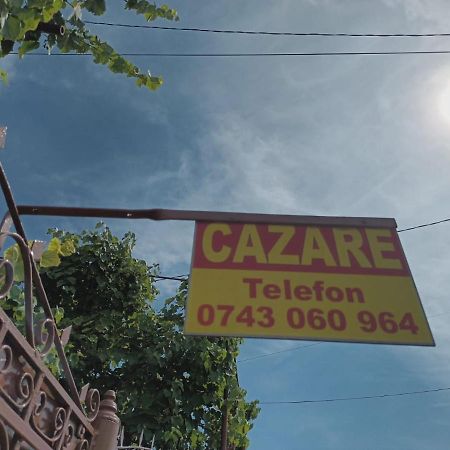 טורדה Casa Matei Casa De Vacanta מראה חיצוני תמונה