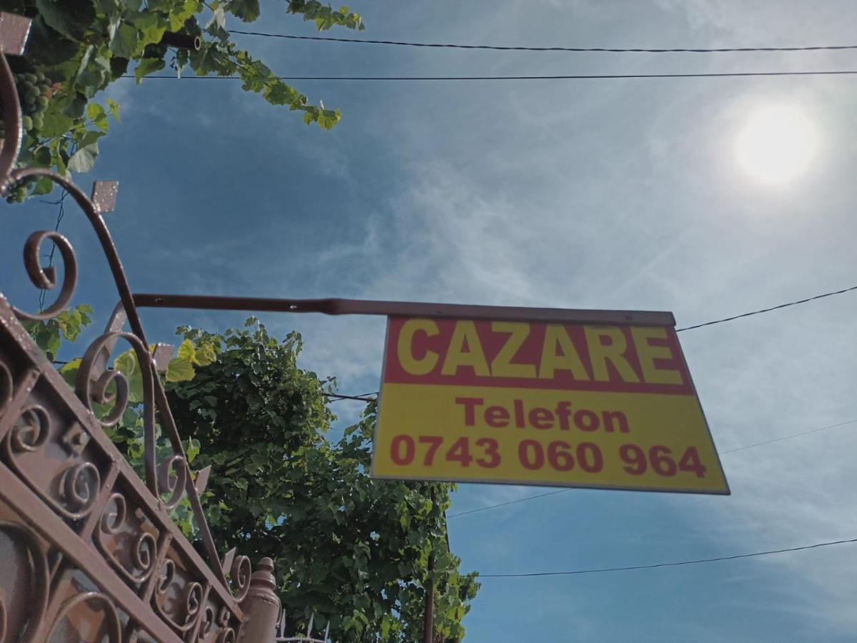 טורדה Casa Matei Casa De Vacanta מראה חיצוני תמונה